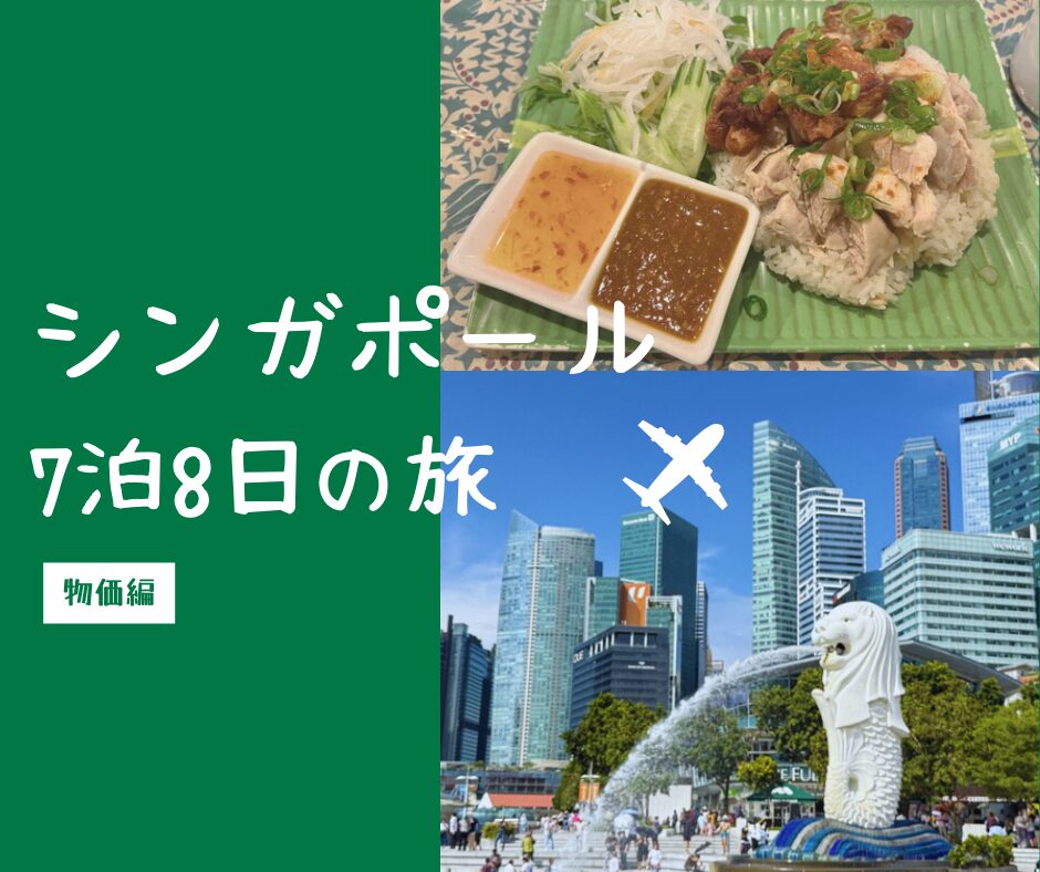 シンガポール７泊8日の旅・物価編